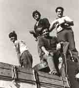 Juan, Lucinio, Conrado y Julin en el "avia" de Conrado cargando uvas.