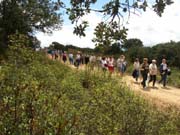 El recorrido desde la Chana se ha realizado entre charlas y cnticos de todo tipo de canciones. El ambiente es fenomenal.