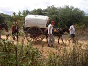 Otro momento de la bajada