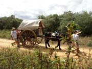 Preciosa estampa de un momento del recorrido.