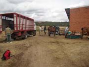 Momento de la descarga de los caballos.