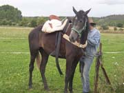 Preciosa estampa de este caballo.