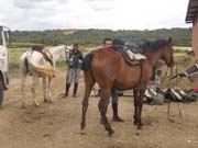 Colocando las monturas.