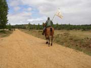 Por fin hemos partido, imagen del camino desde la Alameda de Bercianos de Valverde