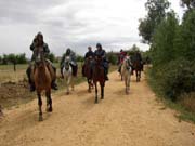 Los caballos abren la marcha, los vemos a la salida de Bercianos