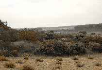 Vista general desde las Bodegas del camino de Santa Croya hacia el pueblo