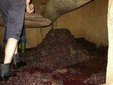 Colocando el compromiso en su lugar