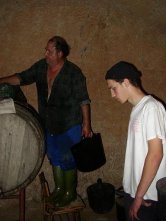 Alberto va acercando el mosto en talegas.