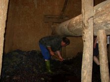 Preparabdo para prensar