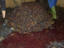 Se va haciendo un montón debajo de la viga, en la parte trasera del lagar.