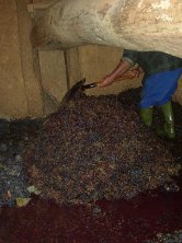 Poco a poco se va realizando el trabajo,