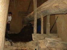 pisado y preparacin del prensado.