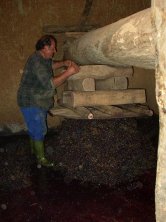 Colocacin de los calzos.