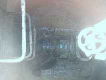 La imagen pierde calidad por el contraluz.